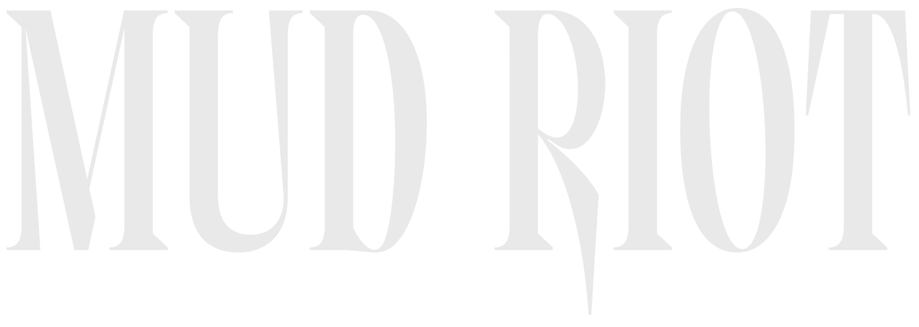Mud Riot
